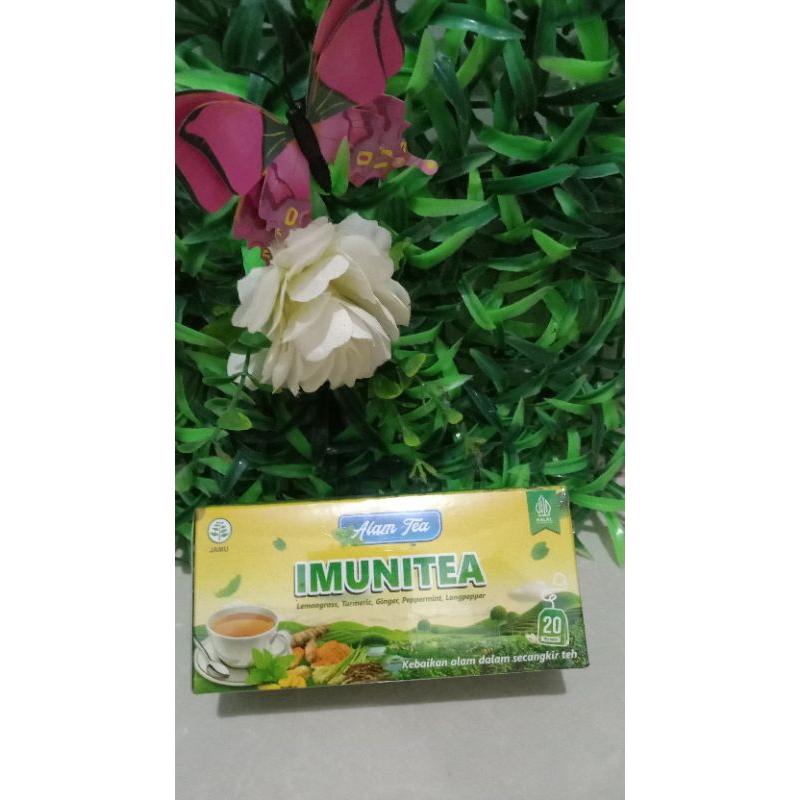

TEH CELUP HERBAL IMUNITEA 100% HERBAL ASLI