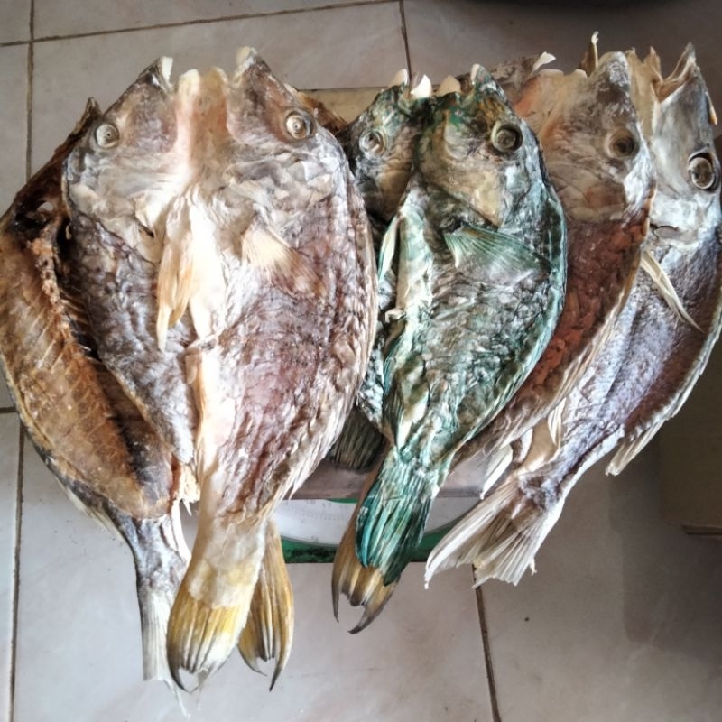 

IKAN ASIN / KERING