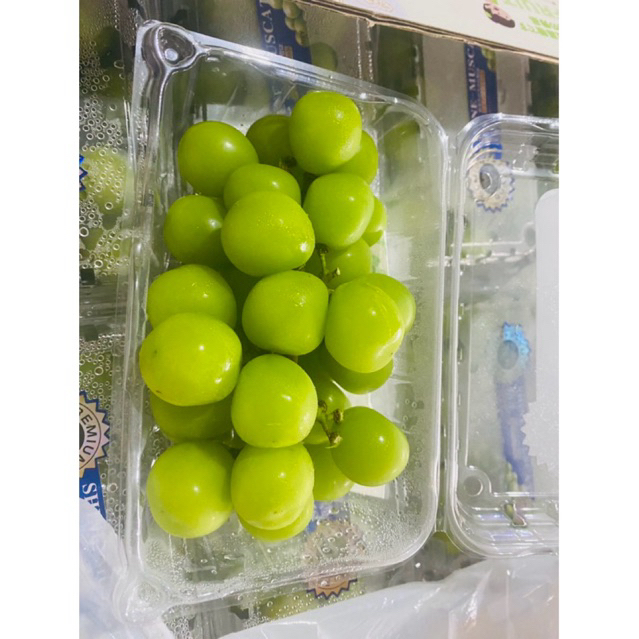 

Anggur Hijau Muscat 1 pack(500g)