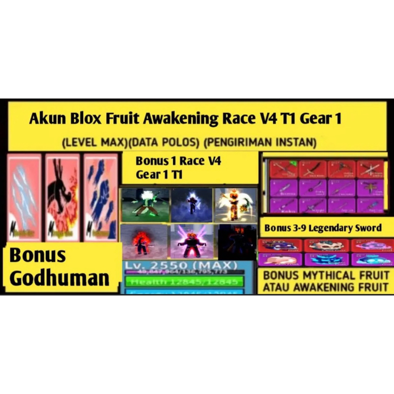 Akun Blox Fruit Awakening Race V4 T1 (Gear 1) (LEVELMAX) (DATPOL)