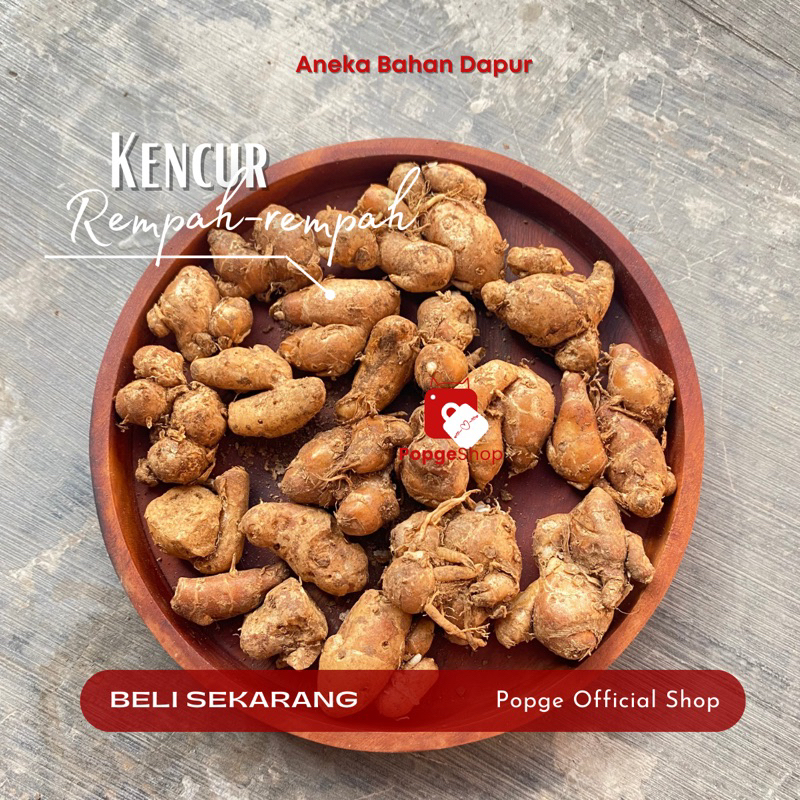 

Kencur 100Gram Rempah-Rempah