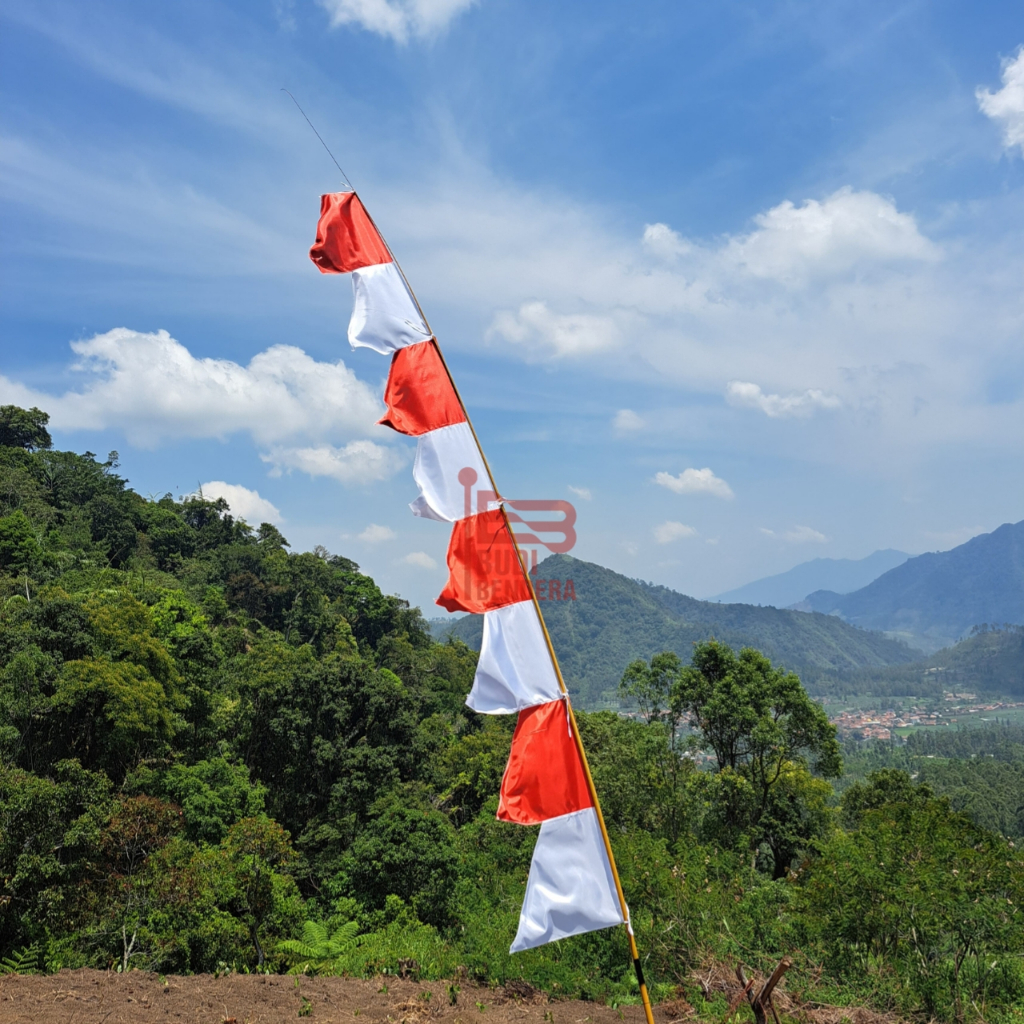 BENDERA UMBUL-UMBUL POLOS/UMBUL - UMBUL GERGAJI
