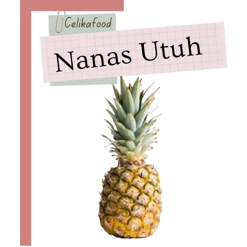 

Nanas Jawa 1 Pcs Utuh Pineapple Buah Buahan Fresh Fruit Ganas