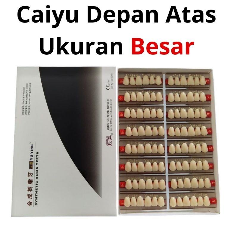 Dental Anasir Caiyu Cayu Depan Atas Anterior Gigi Palsu 1 box