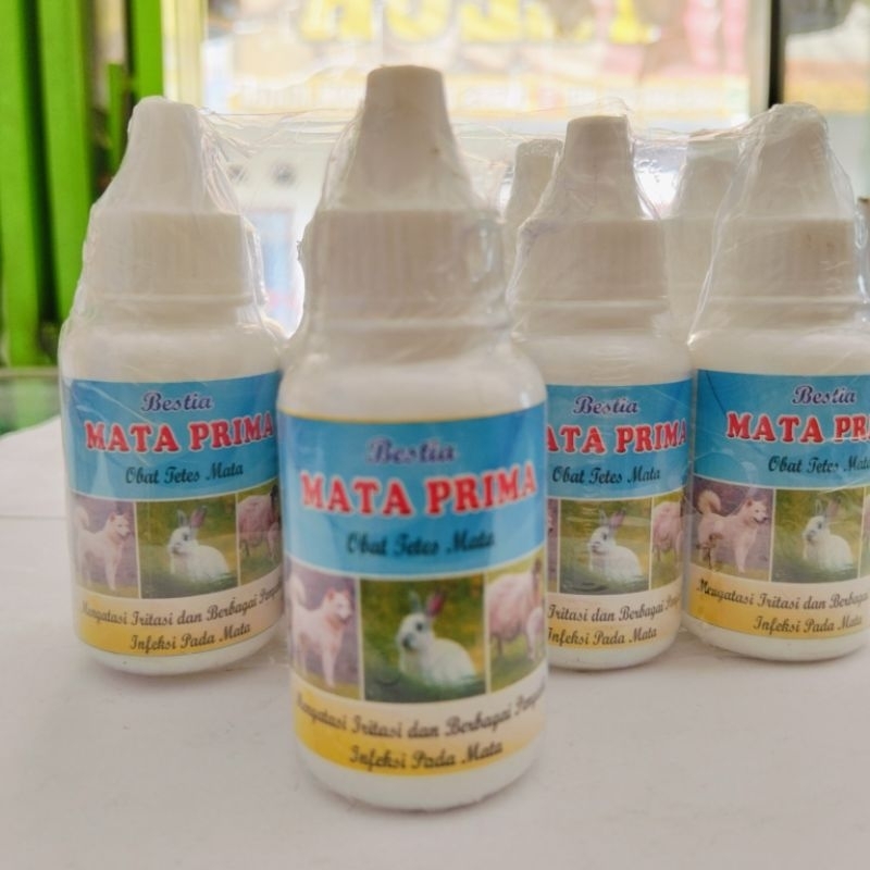 Obat tetes mata hewan (kucing, sapi, kambing, kelinci)
