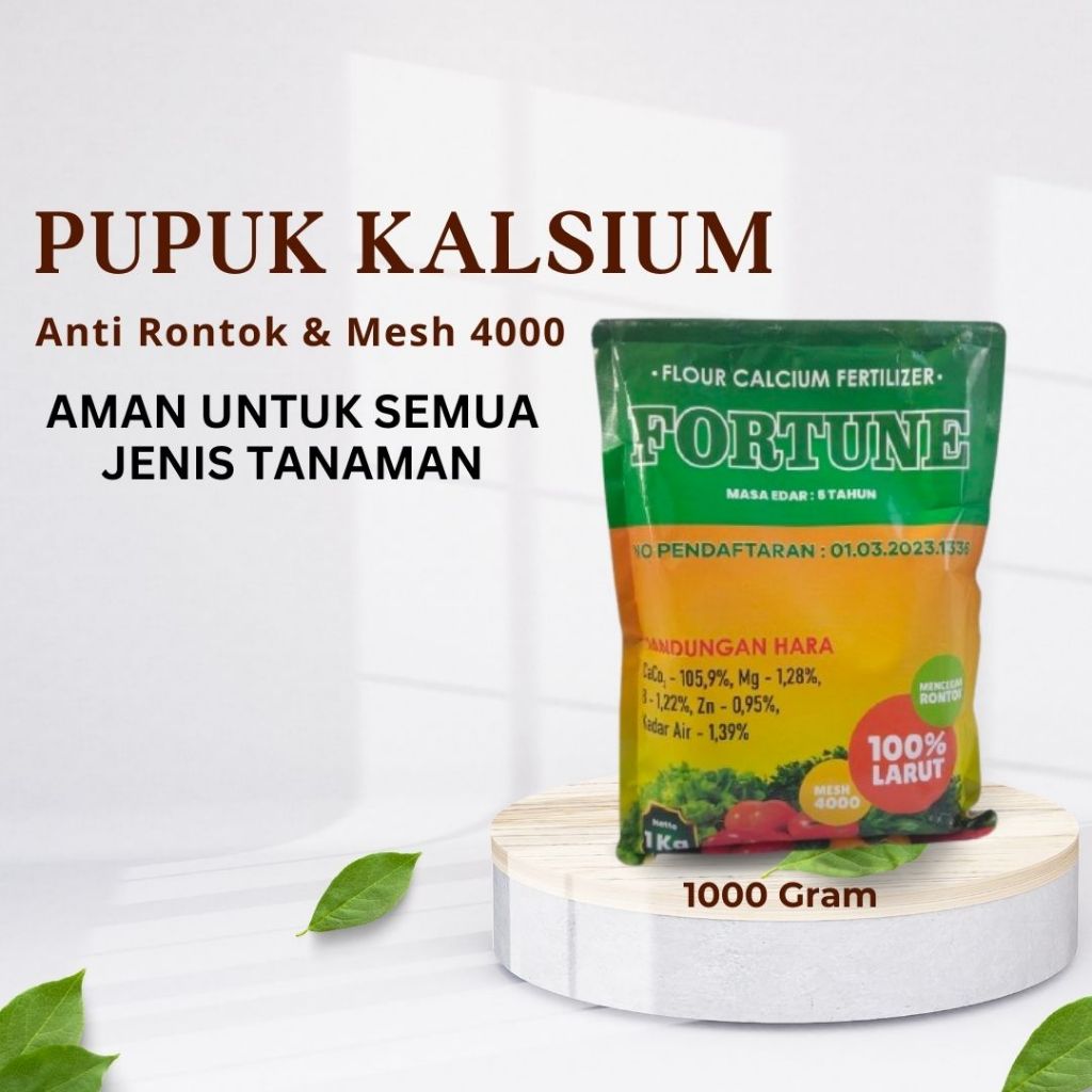RATU BUMI PUPUK pertumbuhan akar kalsium pembentuk bulu akar