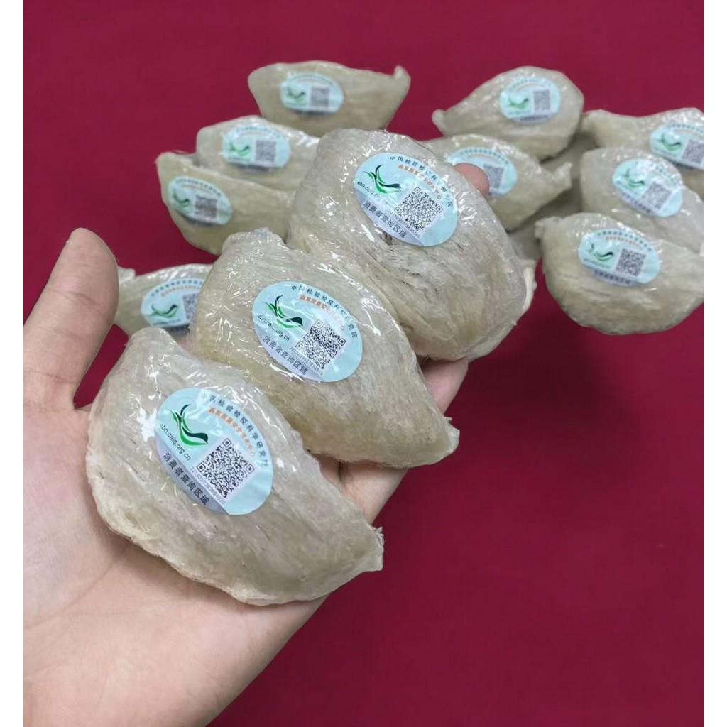 

Sarang Burung Walet / Birdnest Mangkok M1 (Ukuran Besar)