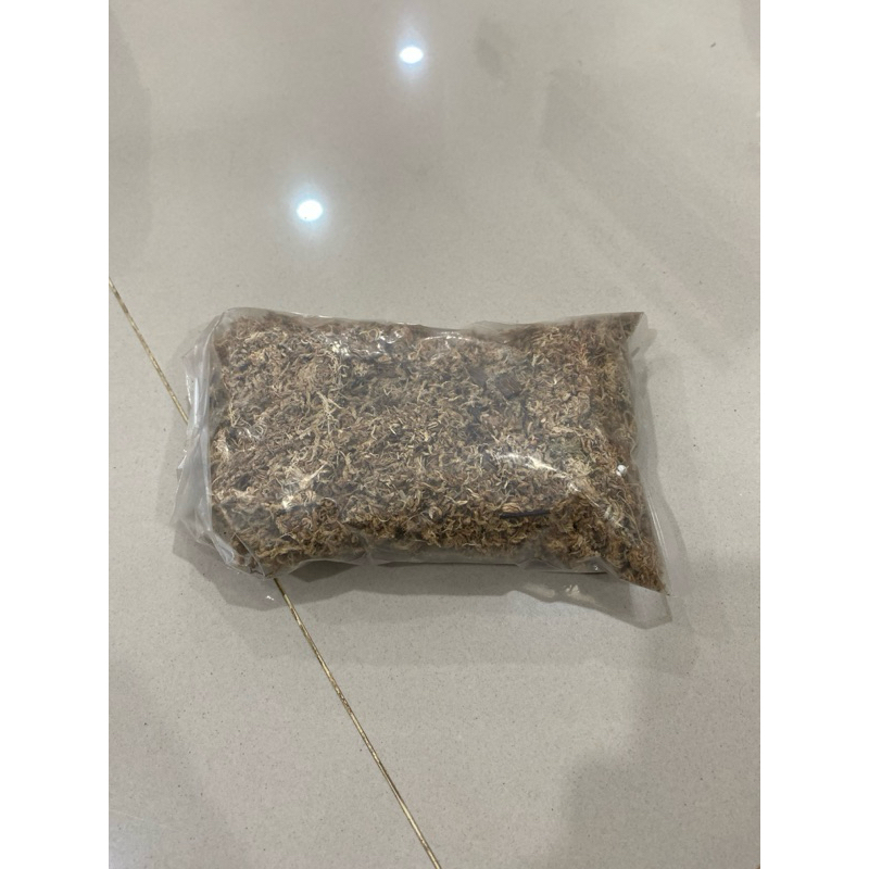 Sphagnum Moss Putih