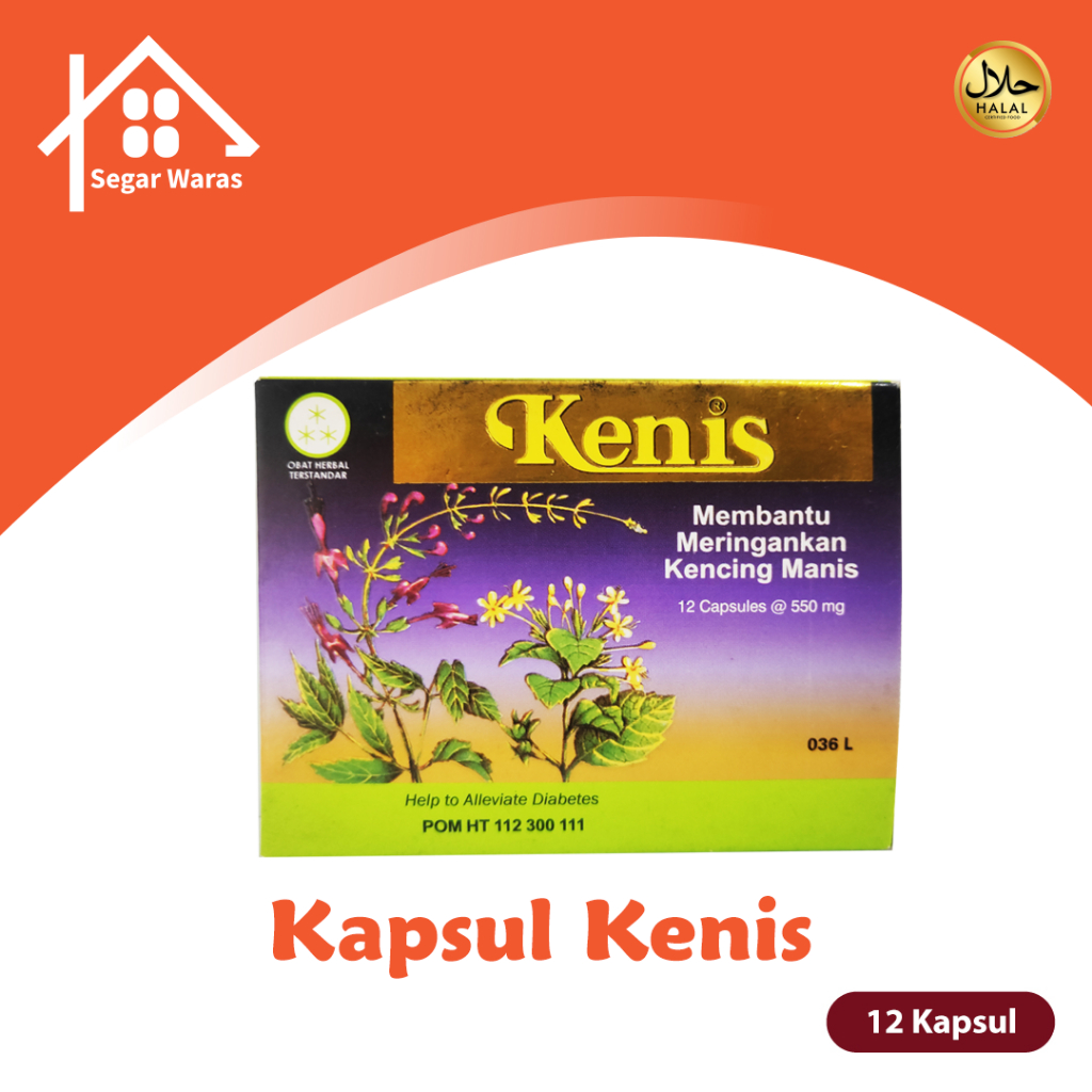 BOROBUDUR Kenis 12 Kapsul | Obat Herbal Kencing Manis / Penyakit Gula (Diabetes)