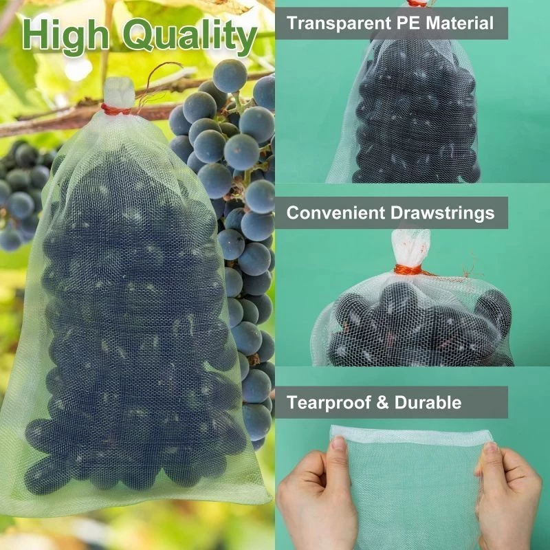 Brongsong buah kelengkeng besar 30x38 Pembungkus Buah BLongsong kelengkeng jaring buah