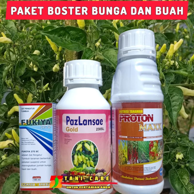 PAKET GENERATIV (FUKIYA 100 ML+PAZLANSAE GOLD 500 ML+PROTONMAX 500ML)BOSTER BUNGA DAN BUAH anti ront