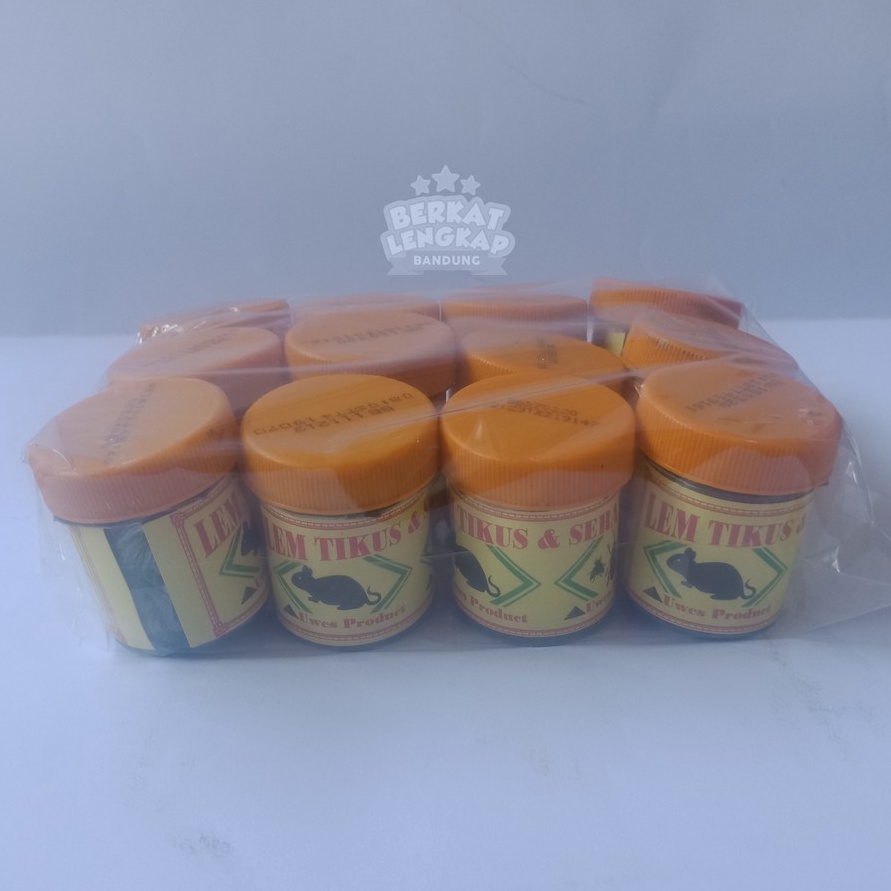 

FG2 Lem Tikus Pot Lengket Isi 12