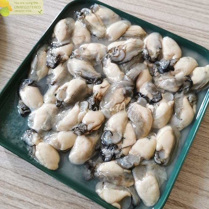 

Kerang Tiram Kupas Segar Kerang Oyster Daging Kerang Tiram Seafood Kerang Laut Segar 1Kg