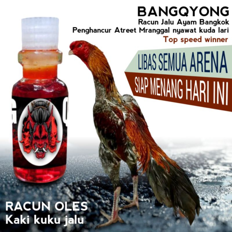 Mengatasi kaki ayam bangkok pukulan bantat