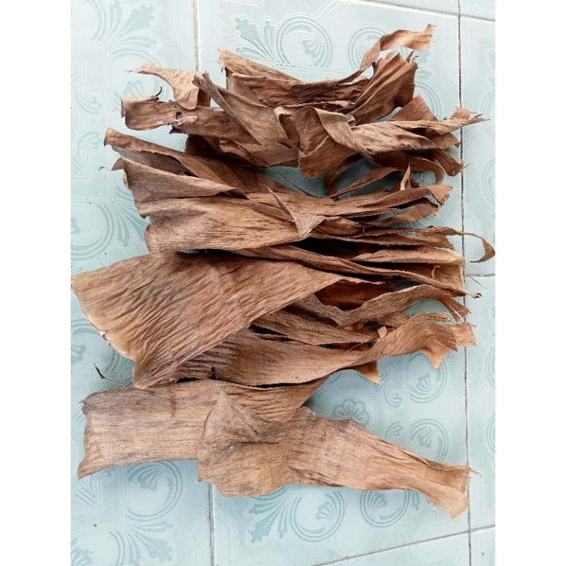 

daun klaras kering 250gram