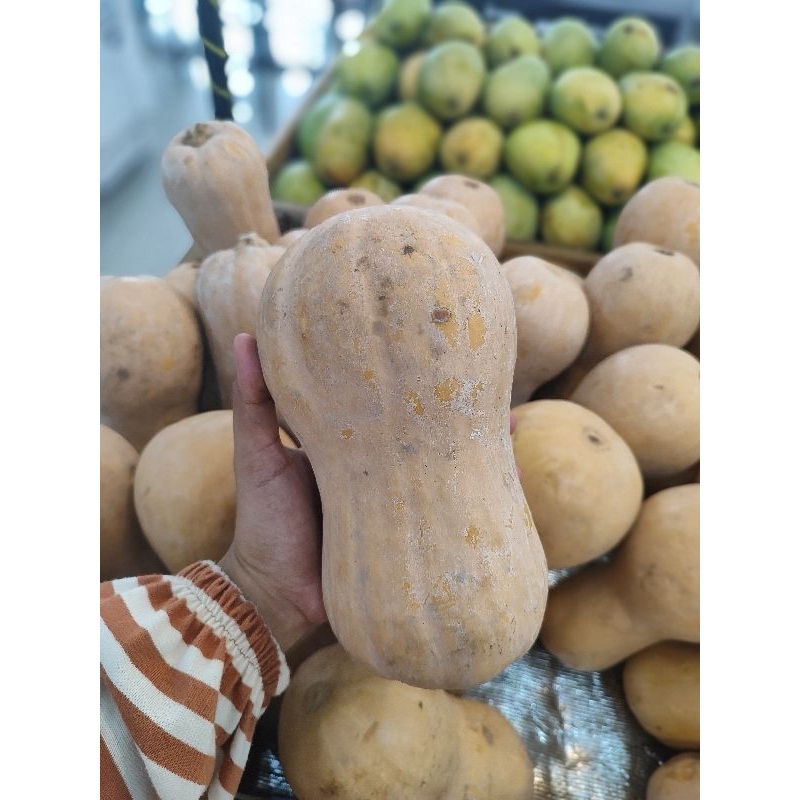 

Butternut