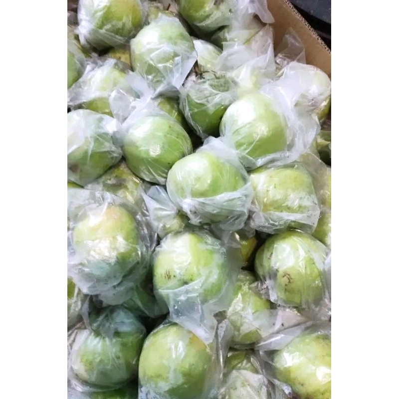 

Jambu kristal 500 gram, jambu kristal enak, jambu kristal seger, jambu kristal sehat.