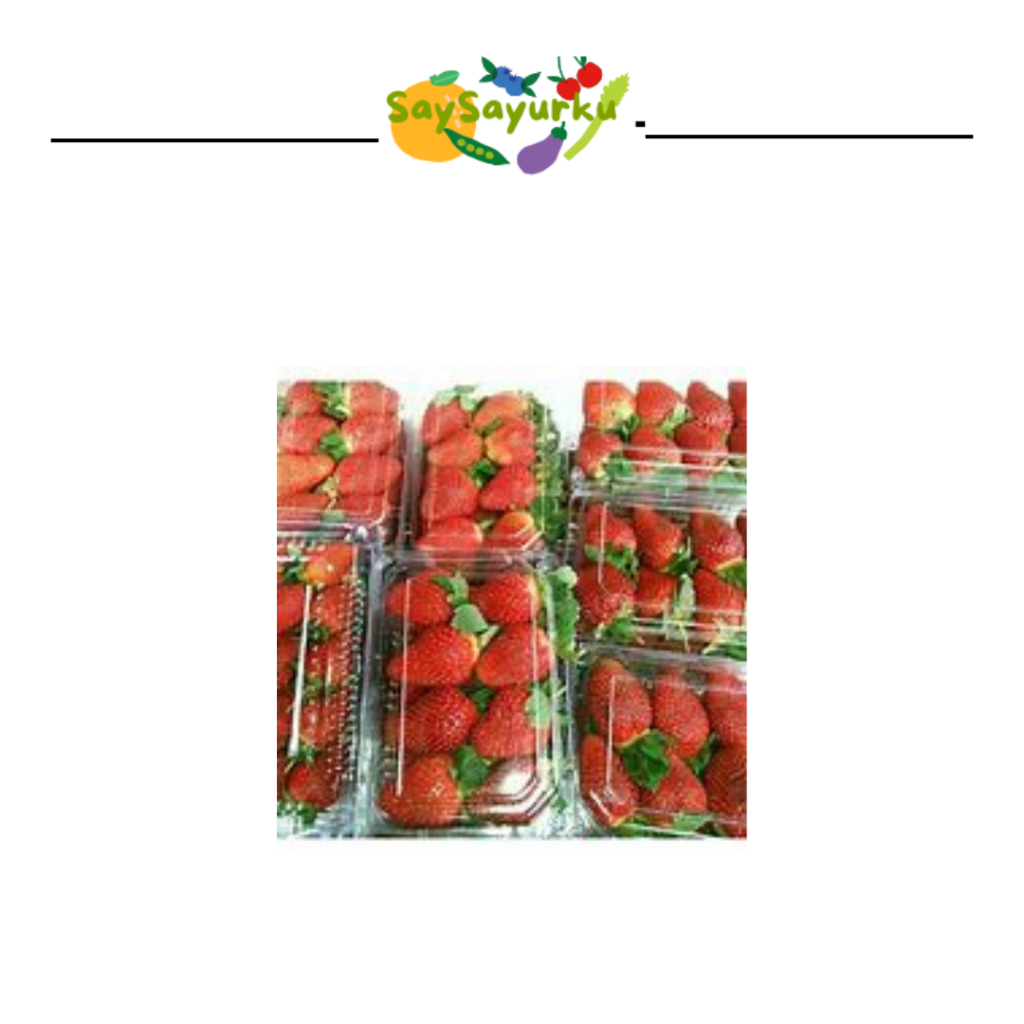 

STRAWBERRY FRESH BUAH MURAH PACK SURABAYA