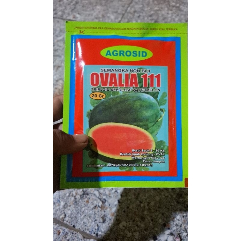 benih semangka ovalia 111 agrosid