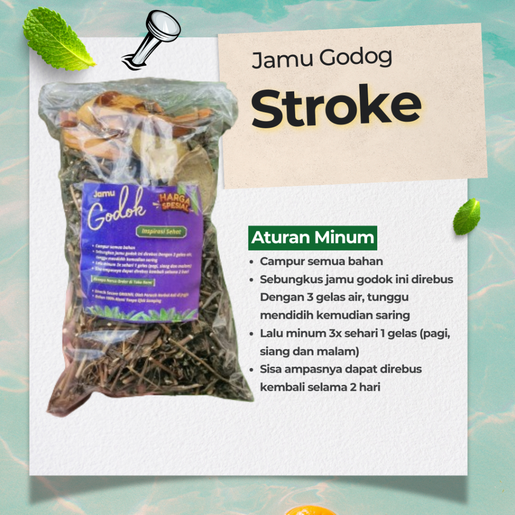 

Jamu Stroke/lumpuh jamu untuk sakit stroke ringan atau lumpuh l herbal stroke A12