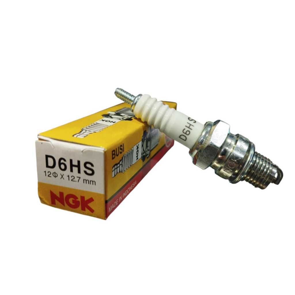 Busi NGK D6HS