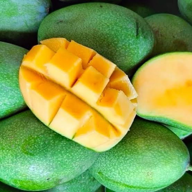 

Buah Mangga Manalagi Fresh Segar 400gr - 600gr