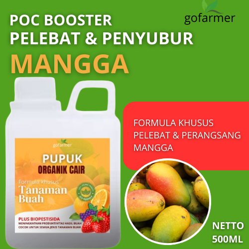 Pupuk Mangga agar cepat tumbuh, pupuk oraganik cair 500ml, pupuk mangga agar cepat berbuah, pupuk ma