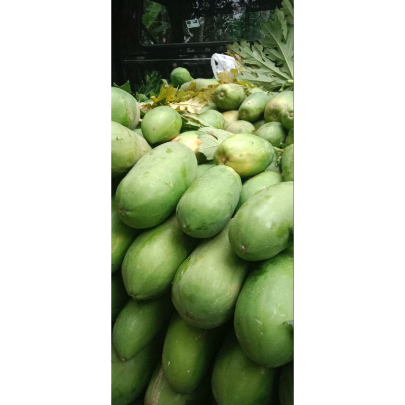 

pepaya California