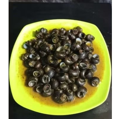 

order custom Tutut sawah Sudah Matang dan Berbumbu