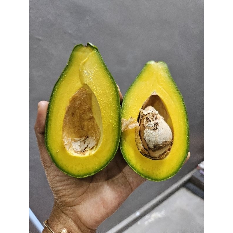 

Alpukat Super berat lebih 285gram/buah