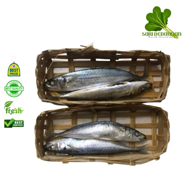 

Ikan Pindang isi 2