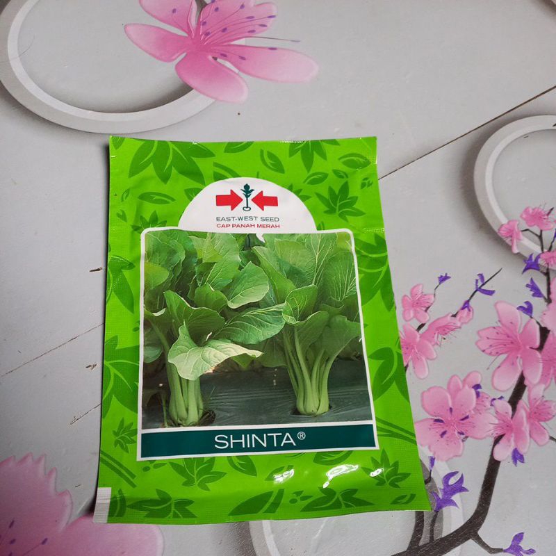 Benih sayuran Sawi/ sawi manis