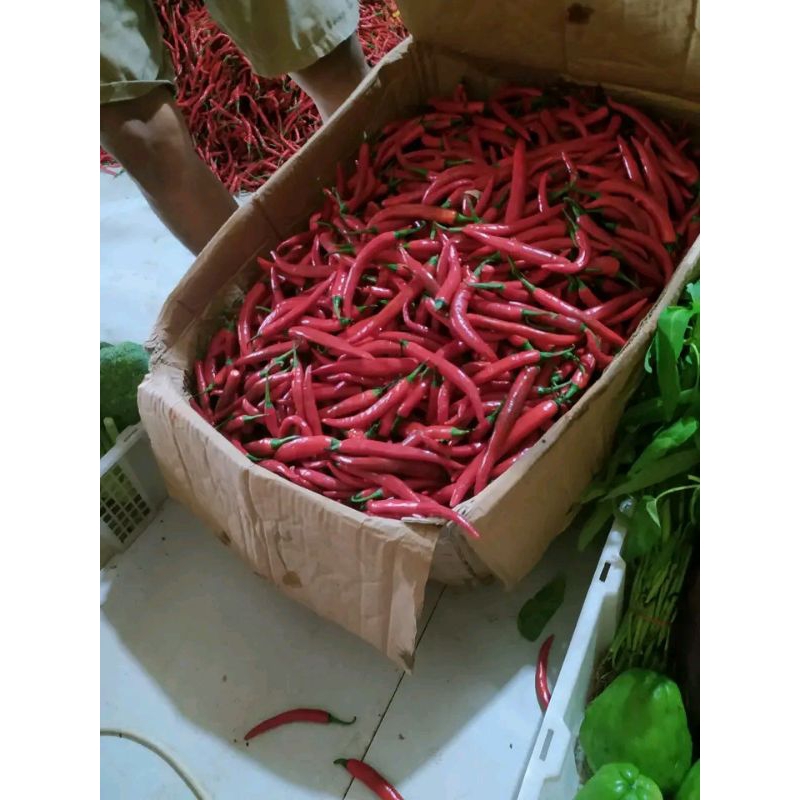 

keritingmerah