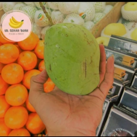 

[KIRIM INSTAN] BUAH MANGGA INDRAMAYU 900g-1kg (2-4pcs)