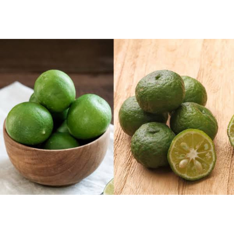 

Jeruk Kasturi/Songkit