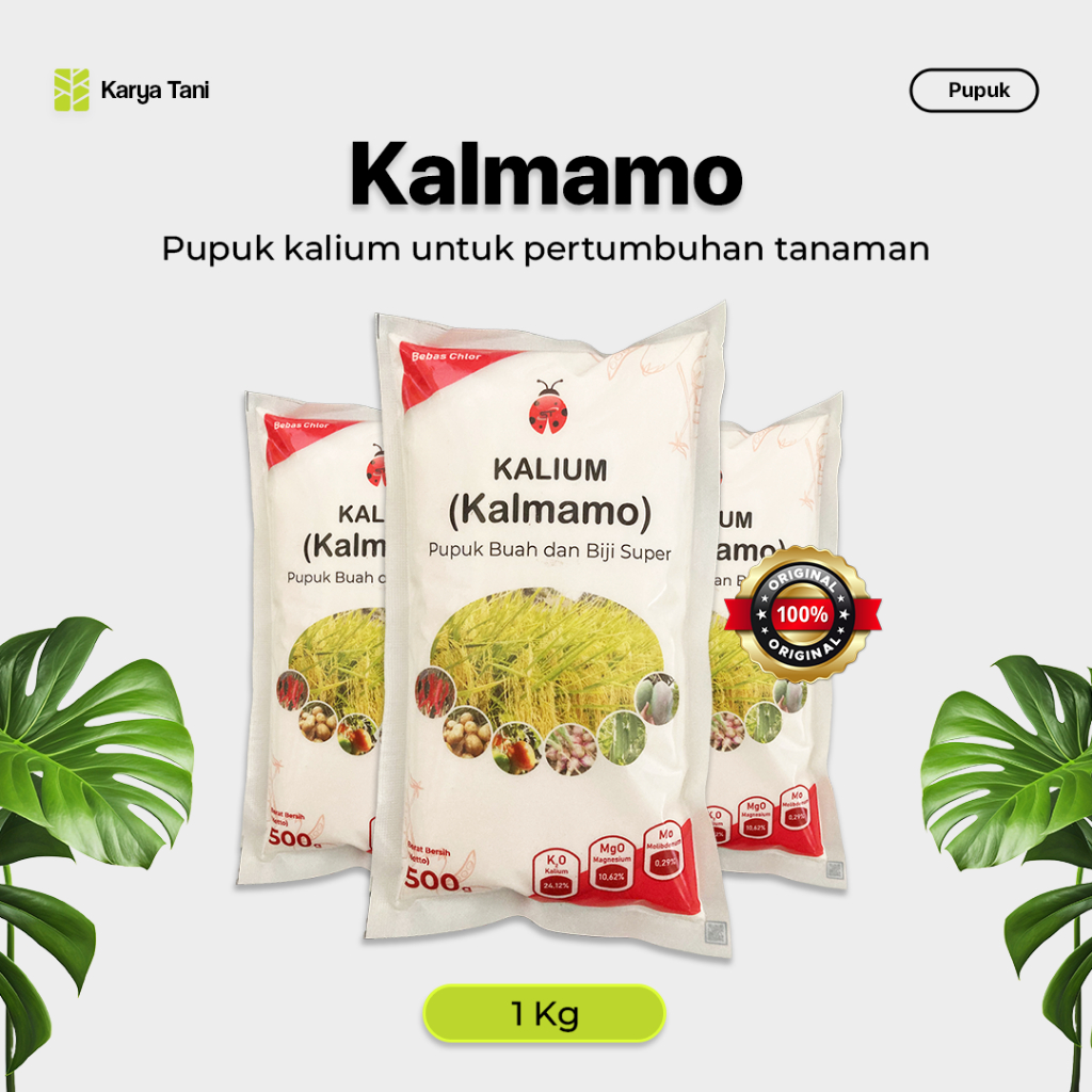 PUPUK KALIUM KALMAMO 500 GRAM