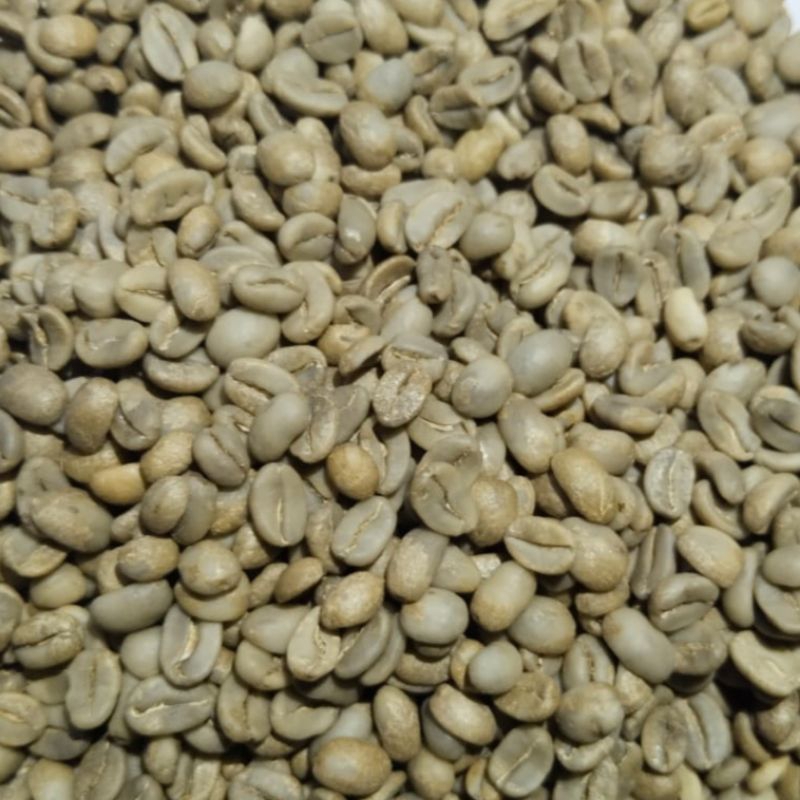 

BIJI KOPI ARABICA/GREENBEAN ARABICA HONEY SPECIALTY