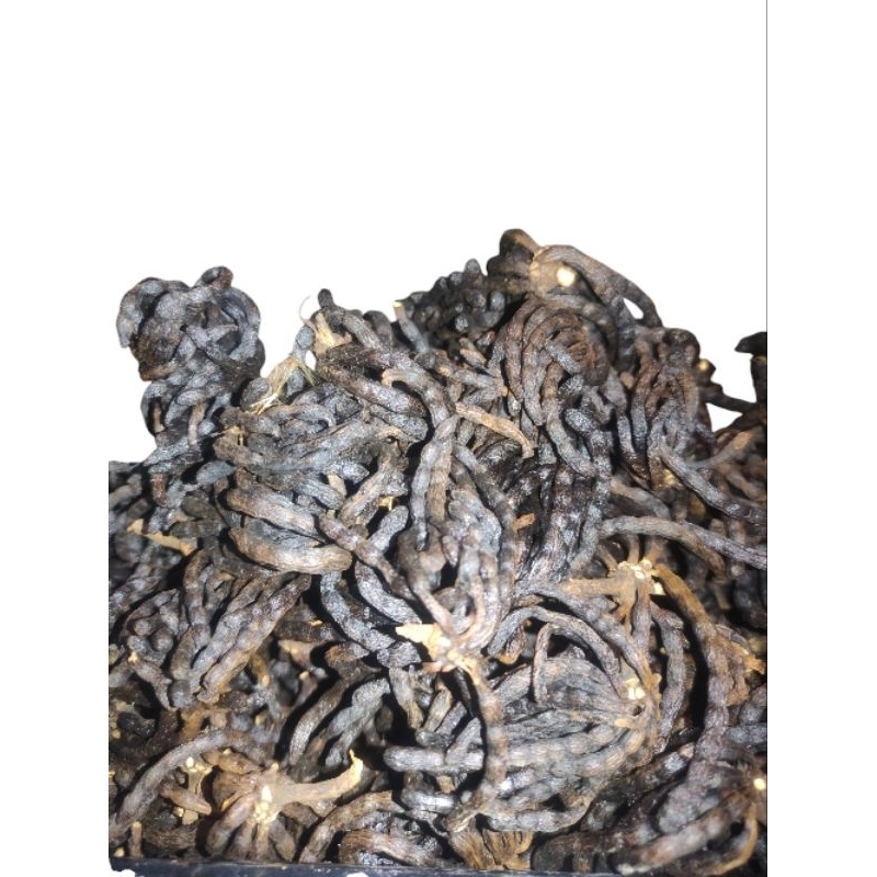 

Ụda Negro Pepper