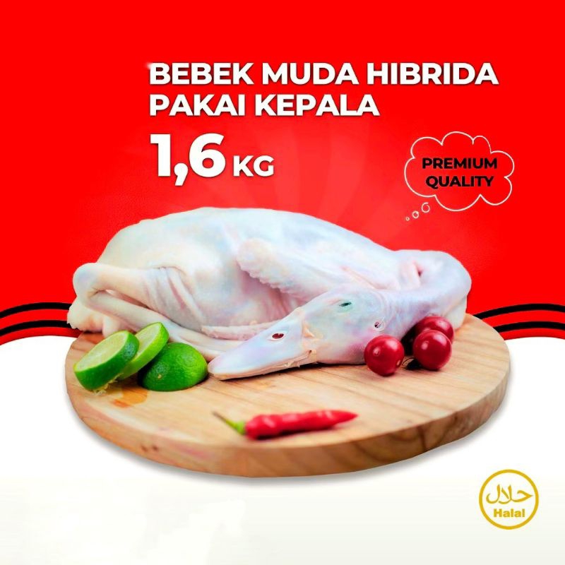 

DAGING BEBEK HIBRIDA 1,6 KG PAKAI KEPALA DAN KAKI