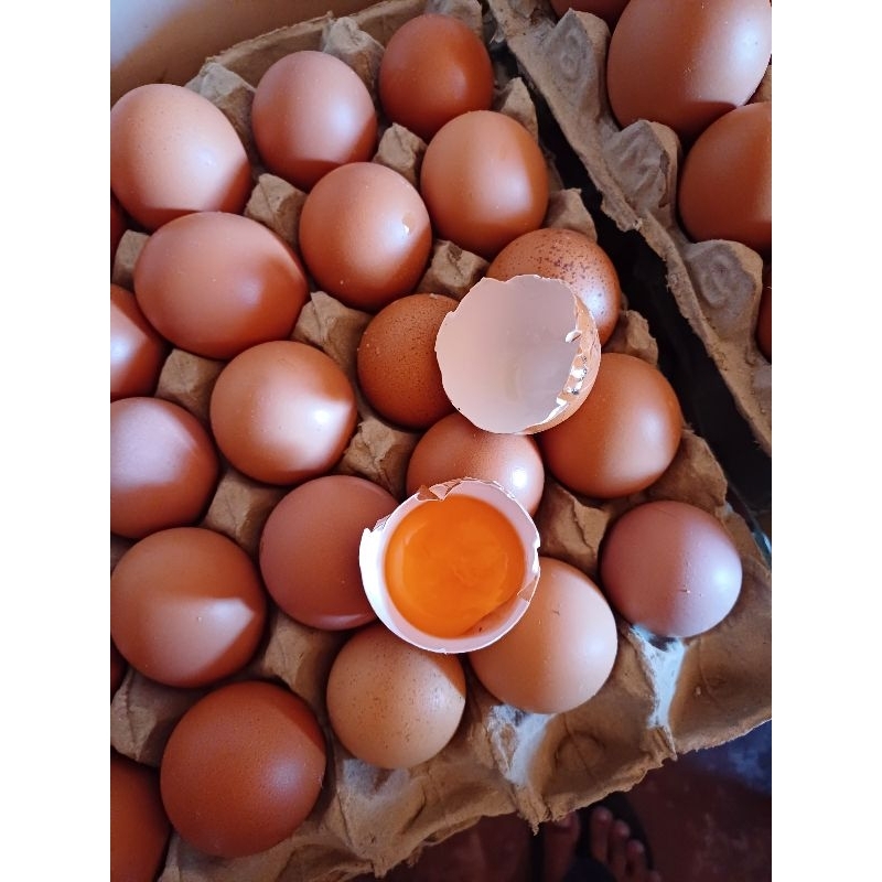 

Telur Ayam OMEGA mix isi 10
