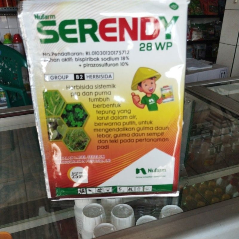 serendy