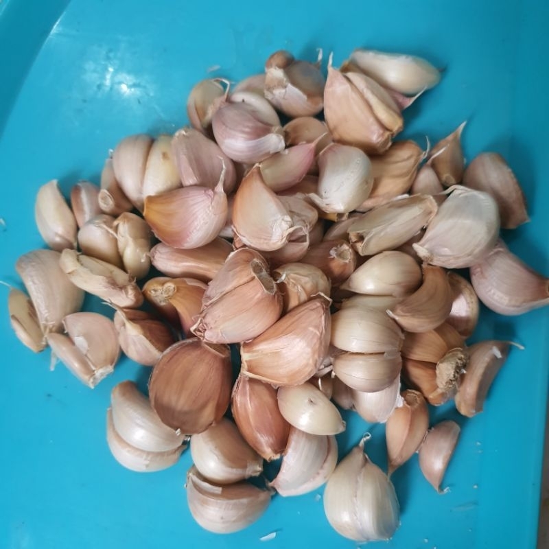 

BAWANG PUTIH HONAN PROTOL/BAWANG PUTIH HONAN BERSIH PROTOL 1KG