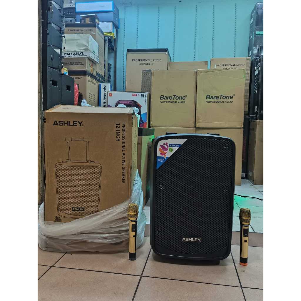 speaker portable ashley IR500 / IR 500 / IR-500 12 INCH ORIGINAL
