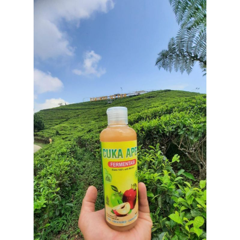 

Cuka Apel Super Premium by RPA Dengan segudang manfaat | Cocok untuk diet | Promil | Tinggi Probiotik • Alami 100% murni tanpa pengawet with Mother | Apple Cider Vinegar • Cuka Apel Organik