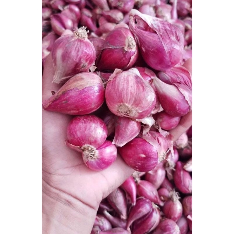 

1kg bawang merah ukuran campur