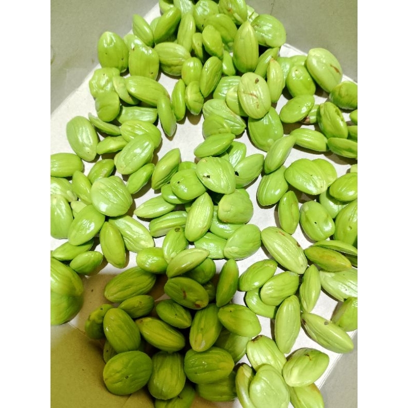 

PETE KUPAS / PETE KUPAS BOLONG - Raja Pete