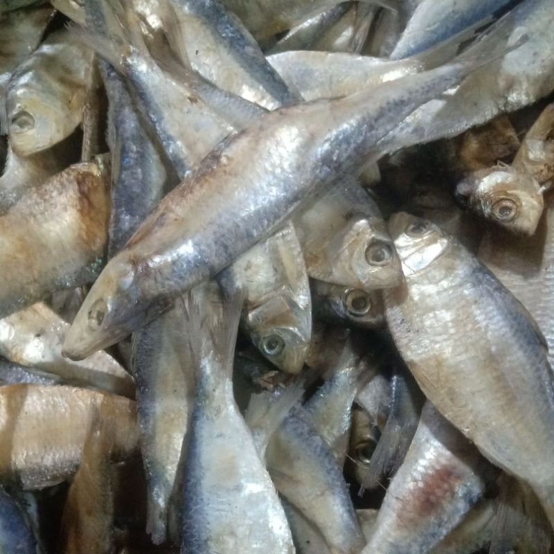 

ikan asin tembang per ons