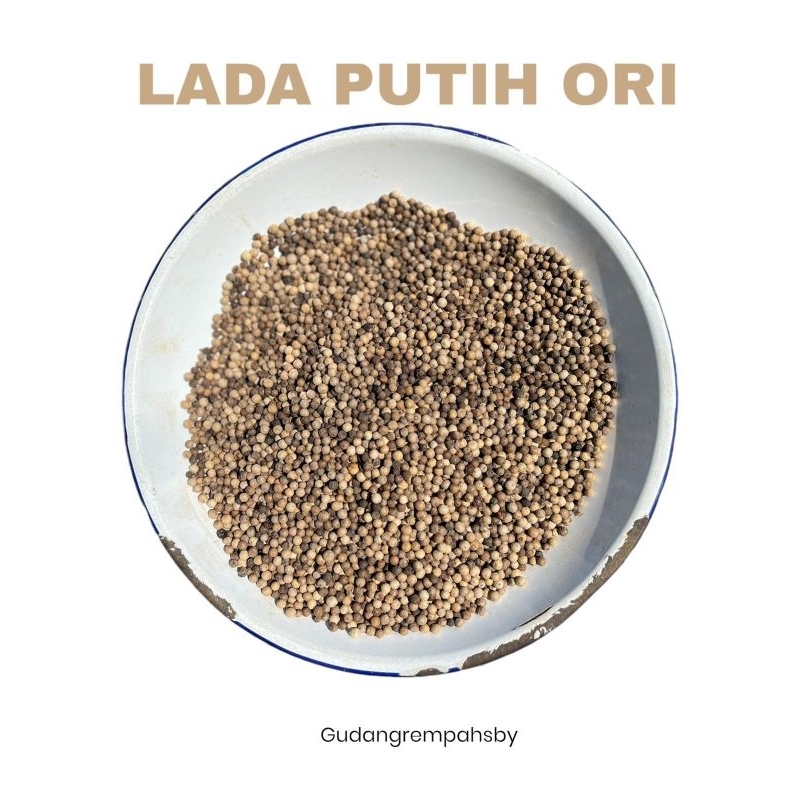 

LADA PUTIH ORI MURAH!