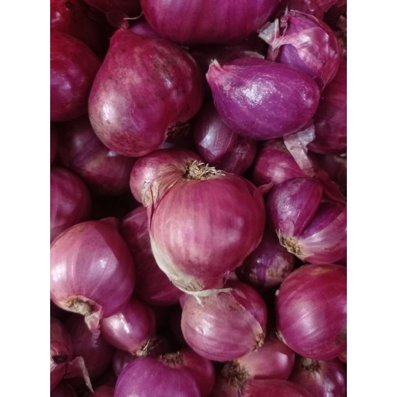 

bawang merah