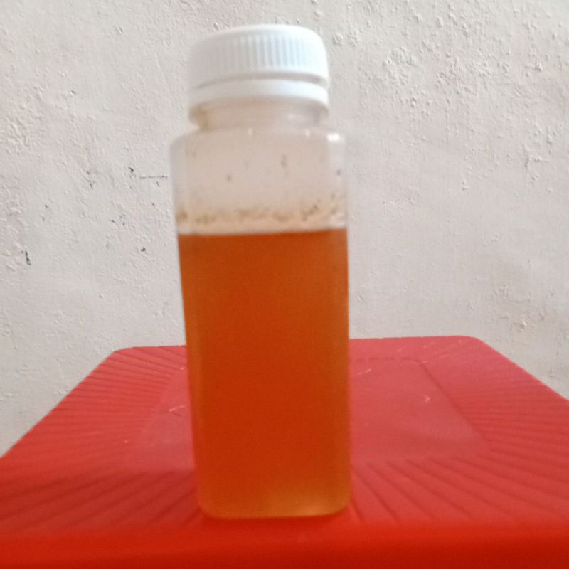 

Madu Kelulut Asli Tanah Datar